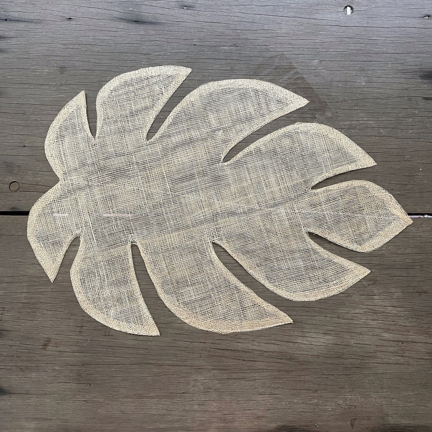 Monstera sinamay placemats set of 4